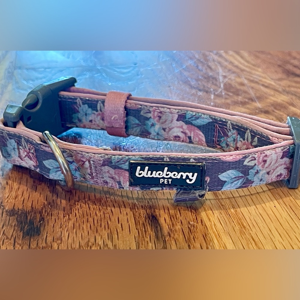 Blueberry floral dog collar size small